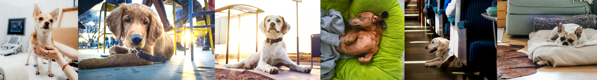 Stimmungsbild zum Thema Fit im Alltag