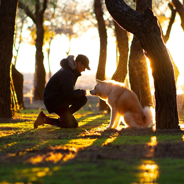 Ein Hund ist mit seinem Herrchen im Abgelegenen Wald. Beide hocken auf dem Boden zueinander gewandt und interagieren miteinander.